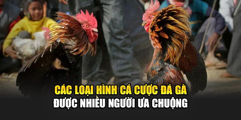 cac-loai-hinh-ca-cuoc-da-ga
