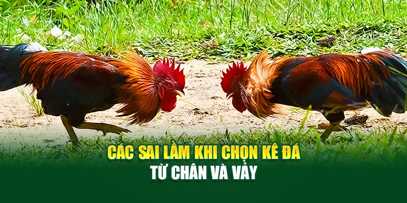 cac-sai-lam-khi-chon-ga-da-tu-chan-va-vay