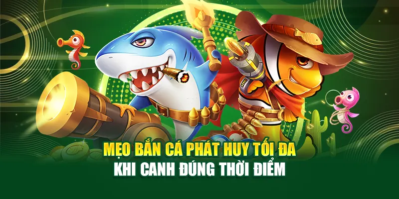 meo-ban-ca-phat-huy-toi-da